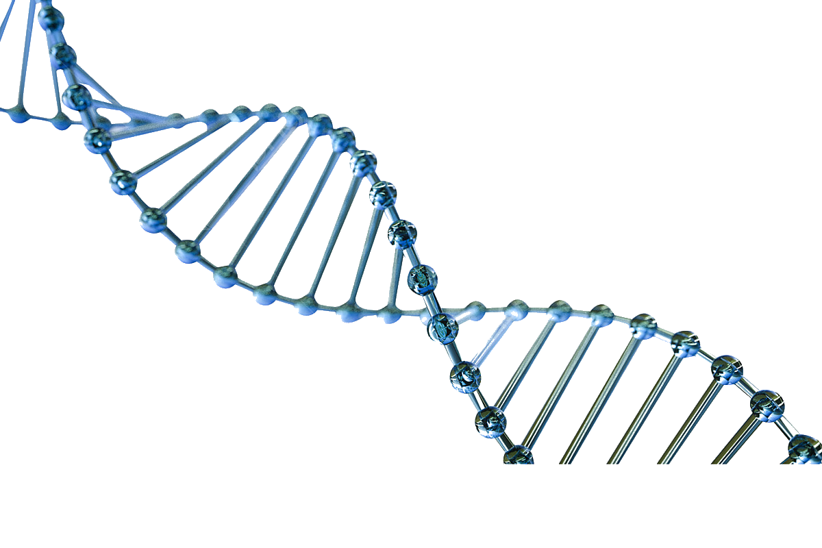 dna clean